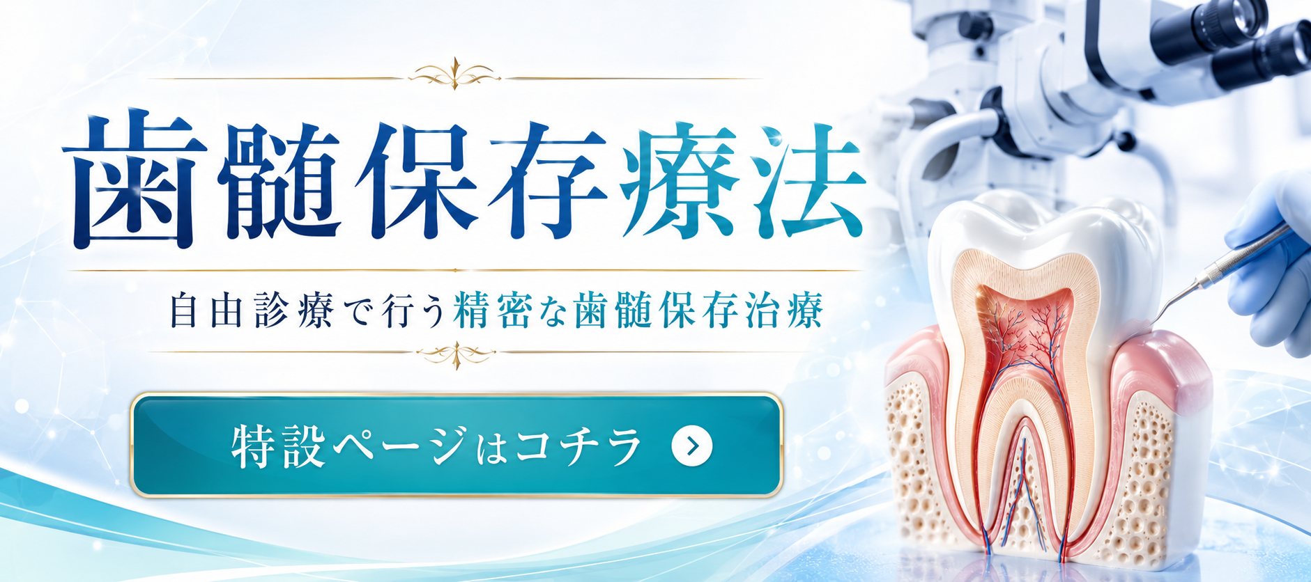 歯髄保存療法 自由診療で行う精密な歯髄保存治療 特設ページはこちら